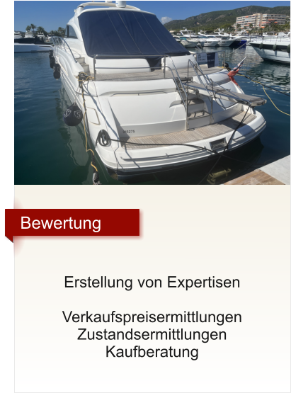 Bewertung     Erstellung von Expertisen   Verkaufspreisermittlungen Zustandsermittlungen Kaufberatung