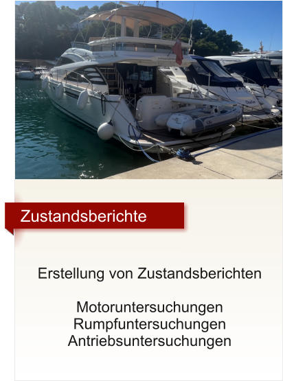 Zustandsberichte     Erstellung von Zustandsberichten  Motoruntersuchungen Rumpfuntersuchungen Antriebsuntersuchungen